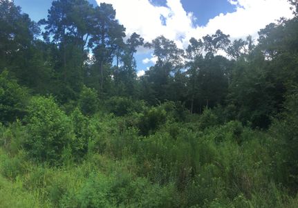 Property in Liberty County, Texas