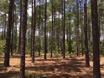 Property in Aiken County, South Carolina