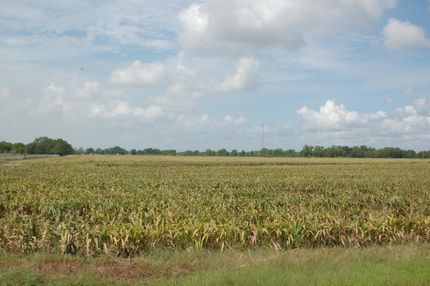 Property in Fort Bend County, Texas