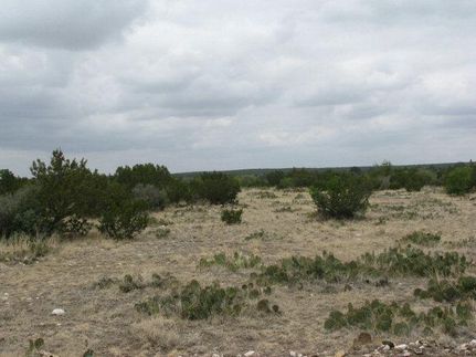 Property in Irion County, Texas