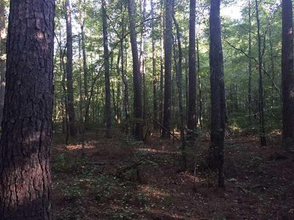 Property in Saline County, Arkansas