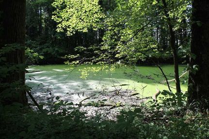 Property in Huron County, Ohio