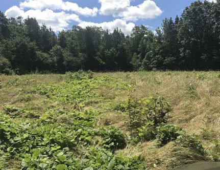 Property in Tuscaloosa County, Alabama