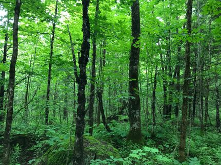 Property in Franklin County, New York