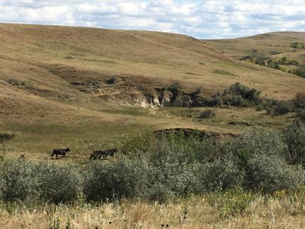 Property in Hettinger County, North Dakota