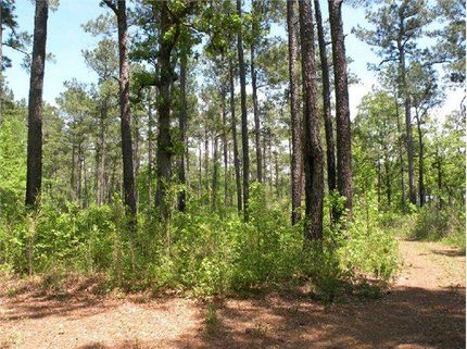 Property in Williamsburg County, South Carolina