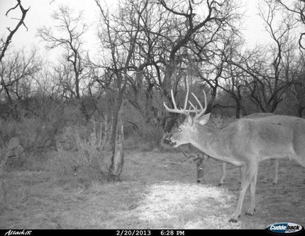 Property in Coleman County, Texas