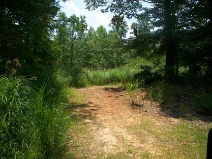 Property in Patrick County, Virginia