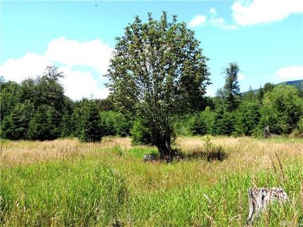 Property in Pierce County, Washington