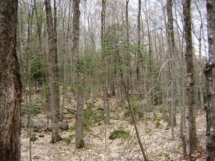 Property in Fulton County, New York