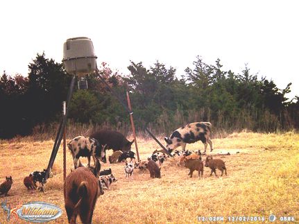 Property in Dewey County, Oklahoma