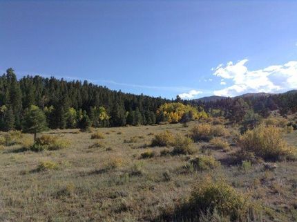 Property in Rio Grande County, Colorado