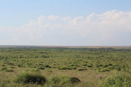 Property in Wichita County, Texas