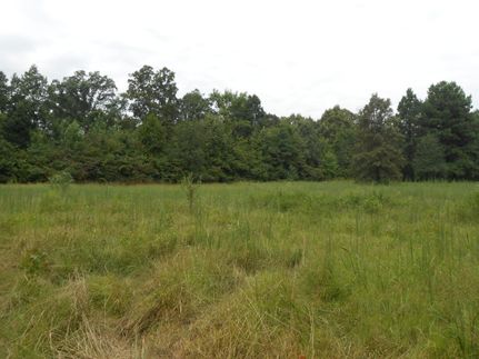 Property in Weakley County, Tennessee