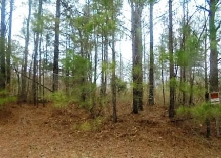 Property in Butts County, Georgia