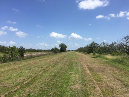 Property in Osceola County, Florida