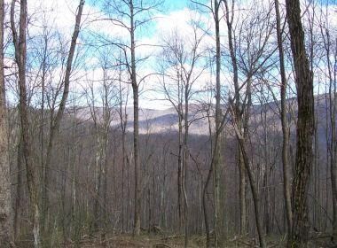 Property in Randolph County, West Virginia
