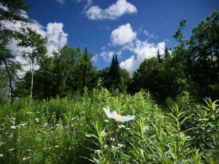 Property in Kennebec County, Maine