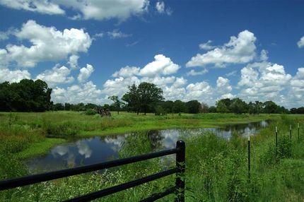 Property in Madison County, Texas