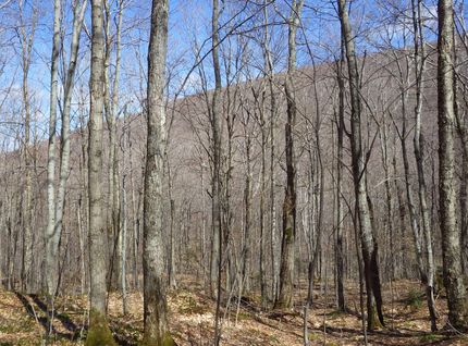 Property in Franklin County, Vermont