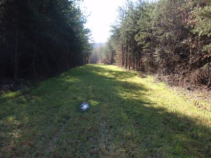 Property in Spartanburg County, South Carolina
