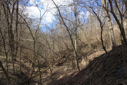 Property in Belmont County, Ohio