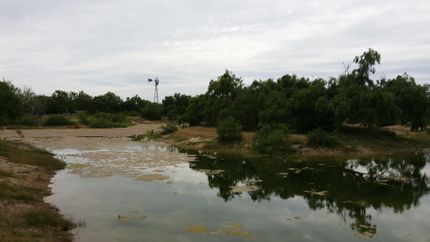 Property in Hidalgo County, Texas