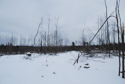 Property in Waldo County, Maine