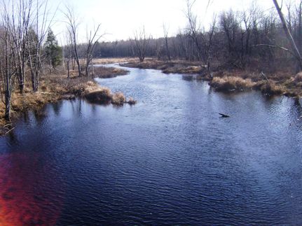 Property in Lewis County, New York