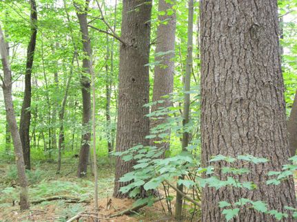 Property in Berkshire County, Massachusetts