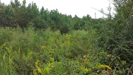 Property in Sampson County, North Carolina