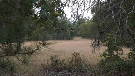 Property in Taylor County, Georgia