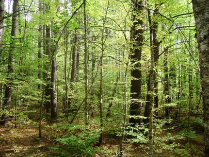 Property in Fulton County, New York