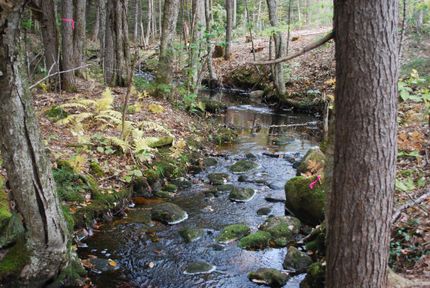 Property in Cumberland County, Maine