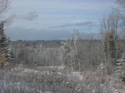 Property in Androscoggin County, Maine