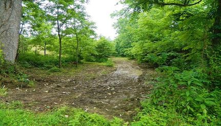 Property in Vinton County, Ohio