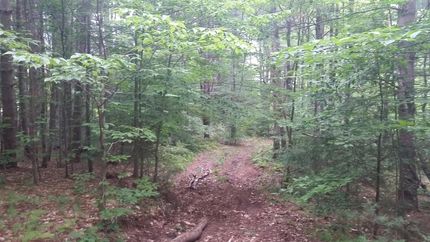 Property in Oswego County, New York