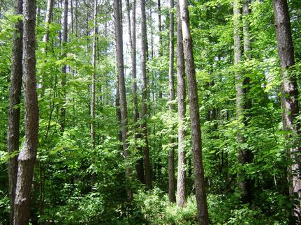 Property in Herkimer County, New York