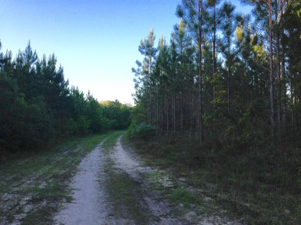 Property in Brantley County, Georgia