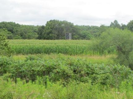 Property in Van Buren County, Iowa