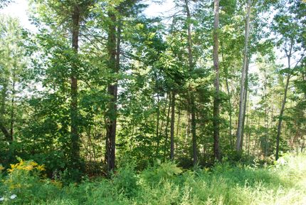 Property in Somerset County, Maine