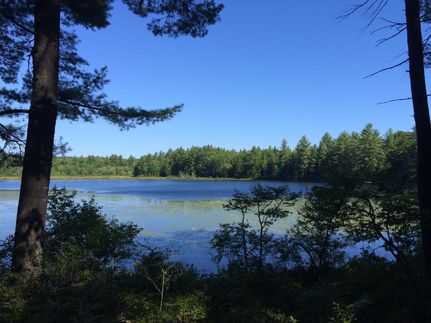 Property in Cumberland County, Maine