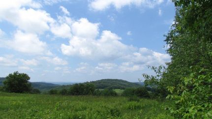 Property in Sullivan County, New York