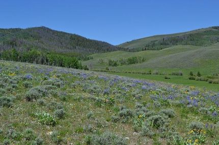 Property in Grand County, Colorado