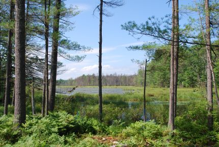 Property in Cumberland County, Maine