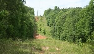 Property in Henry County, Alabama