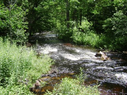 Property in Fulton County, New York