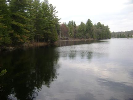 Property in Lewis County, New York