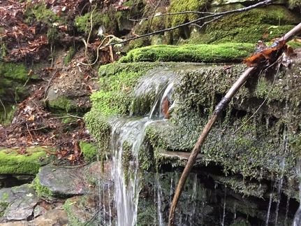 Property in Schoharie County, New York