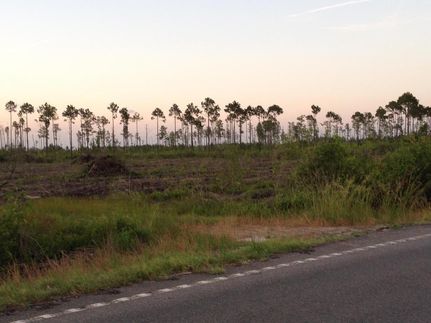 Property in Ware County, Georgia